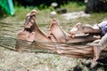 Closeup of happy family lying on hammock on sunny countryside background.