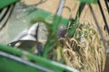 Closeup Harvesting Barley