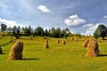 Closeup of haystacks in the agricultural field Royalty Free Stock Photo