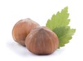 Closeup of hazelnuts, isolated on the white background Royalty Free Stock Photo