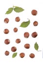 Closeup of hazelnuts, isolated on the white background Royalty Free Stock Photo