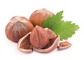 Closeup of hazelnuts, isolated on the white background Royalty Free Stock Photo