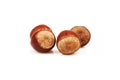 Organic and fresh four shelled hazelnuts on white background Royalty Free Stock Photo