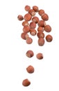 Closeup of hazelnuts, isolated on the white background Royalty Free Stock Photo