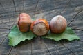 Closeup hazelnuts with leaves on old wooden background. Royalty Free Stock Photo
