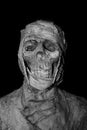 Closeup head of mummy on background Royalty Free Stock Photo