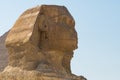 A Closeup of the Head of the Sphinx on a Hot Spring Day in Gizeh Royalty Free Stock Photo