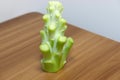 Closeup of a healthy broccoli stalk on a wooden table Royalty Free Stock Photo