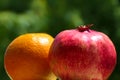 Closeup pomegranate and orange with a green background