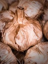 Closeup of healthy, spicy and dried garlics in thin skins