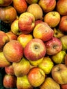 Closeup of a heap of colorful tasty apples