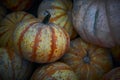 Closeup of a heap of Long Island Cheese Squashes