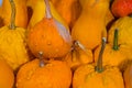 closeup heap of ripen pumpkin