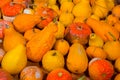 closeup heap of ripen pumpkin