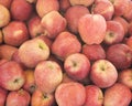 Closeup heap sweet fresh ripe red apples. Fruit backround. Healthy food. Fall harvest, farming agricultural concept