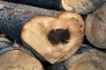 Closeup of a heart-shaped timber log