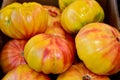 Closeup of Heirloom Tomato 'Mr. Stripey', beefsteak tomatoes, Lycopersicon lycopersicum.