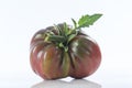 Closeup of a heritage Black Russian tomato Royalty Free Stock Photo