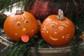 Closeup high angle shot of cute carved pumpkins for Halloween