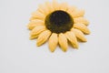 Closeup high angle shot of a sunflower on a gray surface