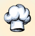 Vector drawing. Old chef hat