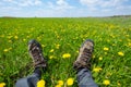 Closeup hikers feet in prairie with dandelion flowers