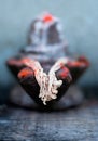 Shivling, Shiva linga,representation of lord shiva,shiv used for offering prayers in Hindu religion. Royalty Free Stock Photo