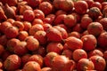 Closeup of Hokkaido pumpkins on sale at an outdoor farmers market in Germany Royalty Free Stock Photo