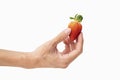 closeup of holding one fresh strawberry in hand with white background Royalty Free Stock Photo