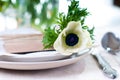 Closeup of holiday table setting Royalty Free Stock Photo