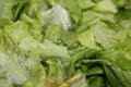 Homemade green salad fast food Royalty Free Stock Photo