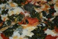 Closeup of Homemade White Spinach Pizza with Mozzarella Cheese