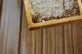 Closeup of the honey frame