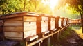 Closeup of honey hives in an apiary, sunny day. Apiculture concept. Generative AI