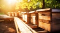 Closeup of honey hives in an apiary, sunny day. Apiculture concept. Generative AI