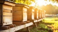 Closeup of honey hives in an apiary, sunny day. Apiculture concept. Generative AI