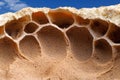 Closeup of honeycomb structure