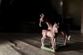 Closeup of horse figurines on wooden floor with low light Royalty Free Stock Photo