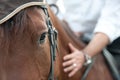 Closeup of a horse head with detail on the eye and on rider hand. harnessed horse being lead - close up details. a stallion horse