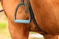 Closeup of horse and stirrup. Royalty Free Stock Photo