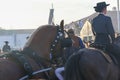 Closeup of horses at National Horse Fair 2022 in Golega, Portugal.