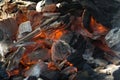 Closeup of hot coal Royalty Free Stock Photo