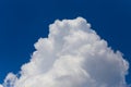 Closeup huge cumulus cloud on a blue sky