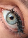Closeup human eye opens iris of eye beautiful gray-green eyes healthy vision Royalty Free Stock Photo