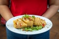 Closeup of human hand holding a plate of delicious sliced chicken curry and greens