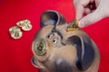 Closeup, human hand lowers coin bitcoin into piggy bank slot.