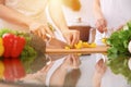 Closeup of human hands cooking in kitchen. Mother and daughter or two female friends cutting vegetables for fresh salad