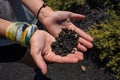 Closeup of human hands holding rocks Royalty Free Stock Photo