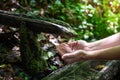 Closeup of human hands under the clean natural water source in the forest