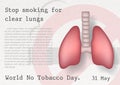 Closeup the human lung with wording of World no tobacco day and example texts on the sign of NO SMOKING and white background. Card